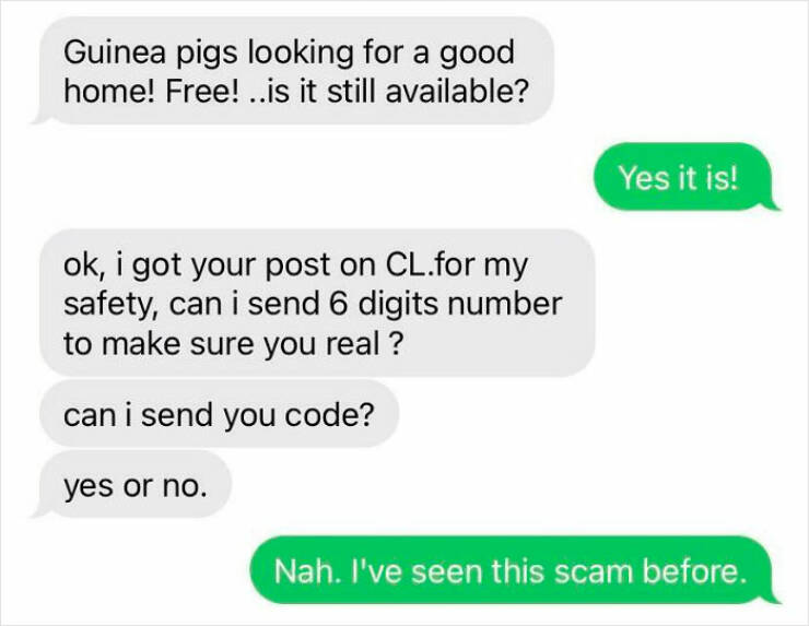 Scammers Taken Down By Savvy Targets