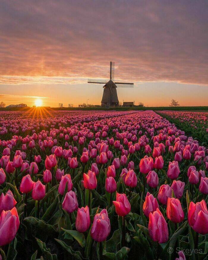 Stunning Photos Showcasing The Beauty Of The Netherlands