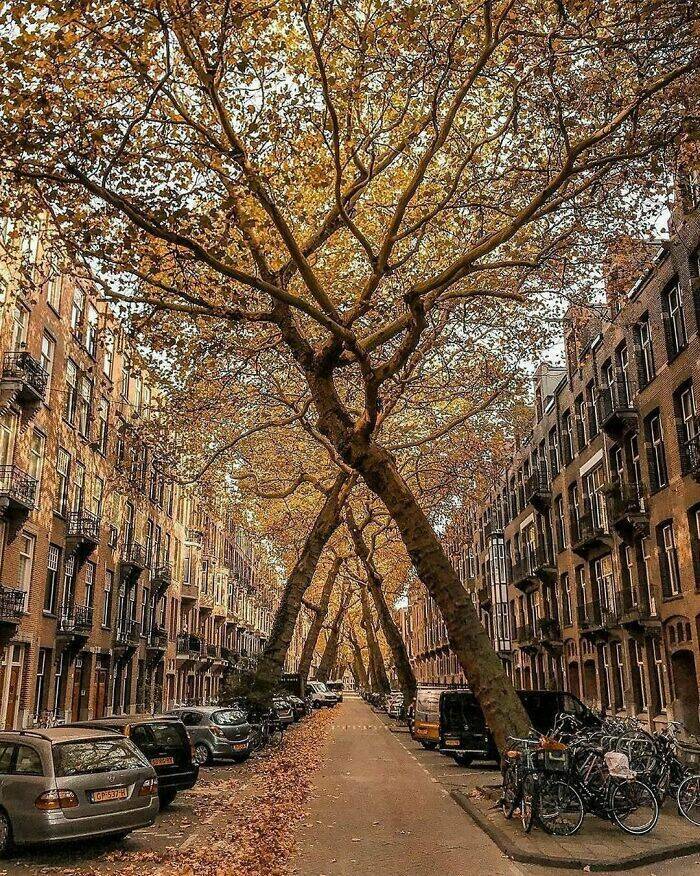 Stunning Photos Showcasing The Beauty Of The Netherlands