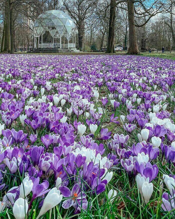 Stunning Photos Showcasing The Beauty Of The Netherlands
