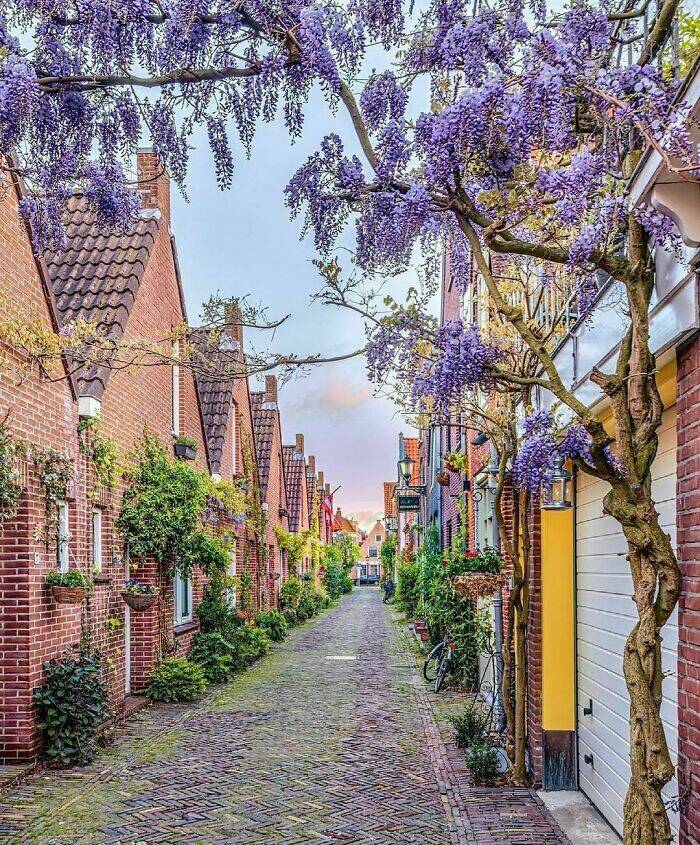 Stunning Photos Showcasing The Beauty Of The Netherlands