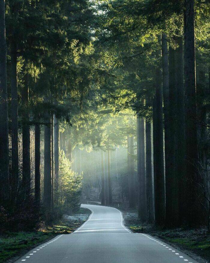 Stunning Photos Showcasing The Beauty Of The Netherlands