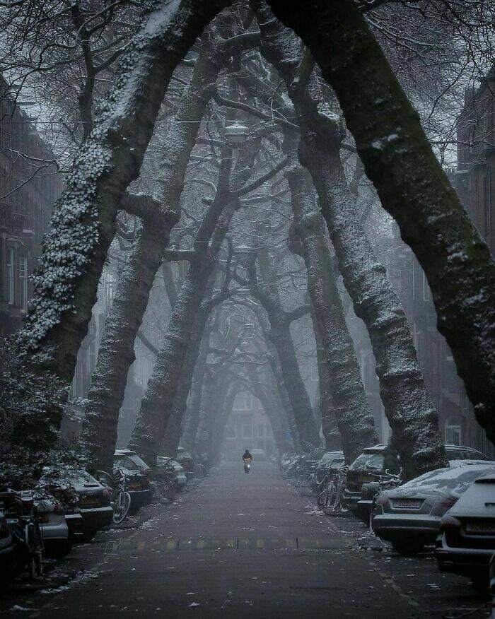 Stunning Photos Showcasing The Beauty Of The Netherlands