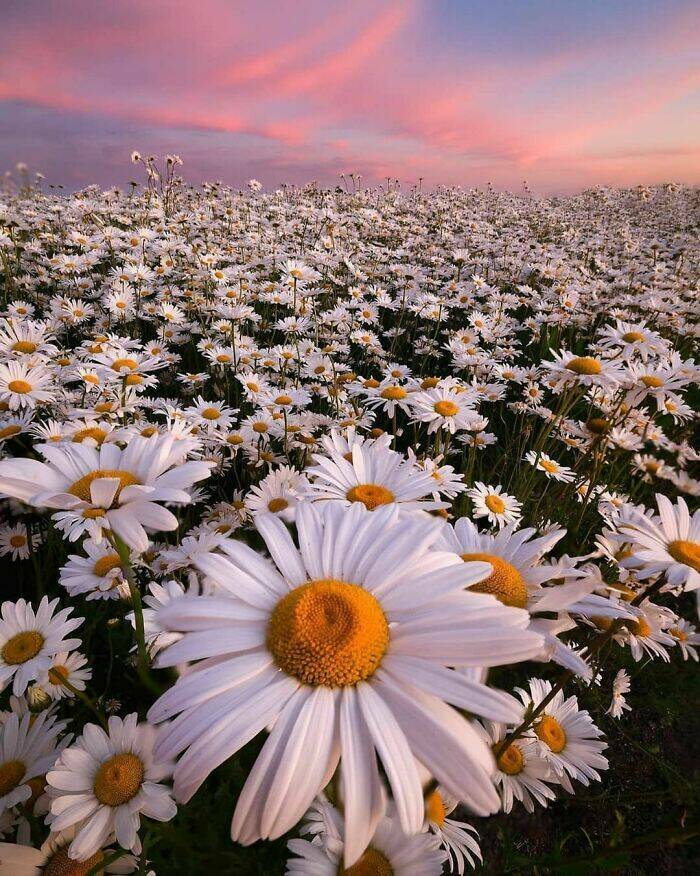 Stunning Photos Showcasing The Beauty Of The Netherlands