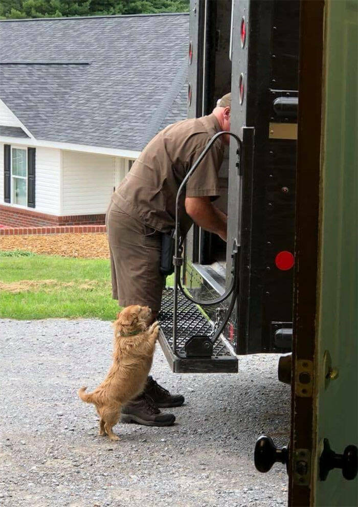 UPS Drivers Meet The Cutest Dogs