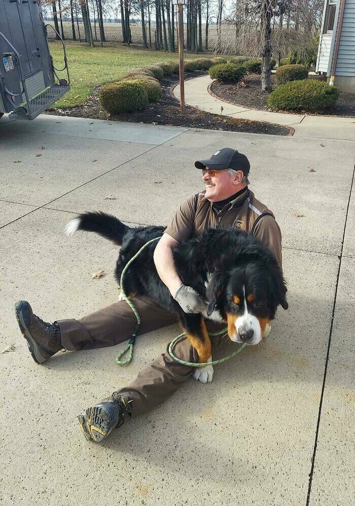 UPS Drivers Meet The Cutest Dogs