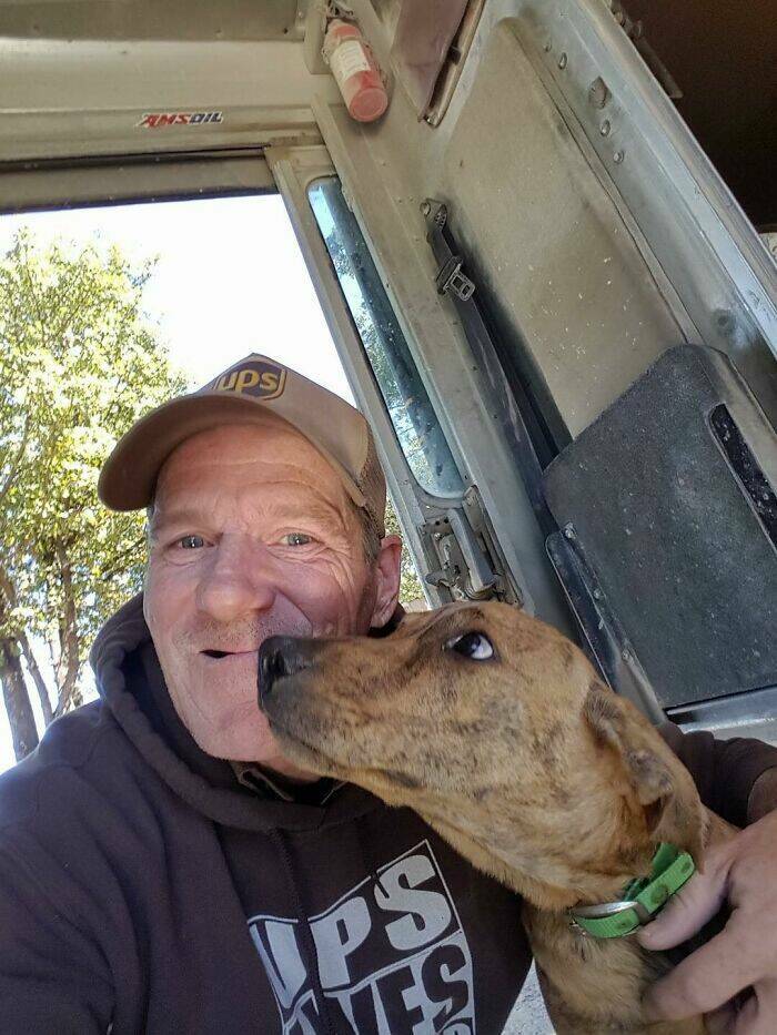 UPS Drivers Meet The Cutest Dogs