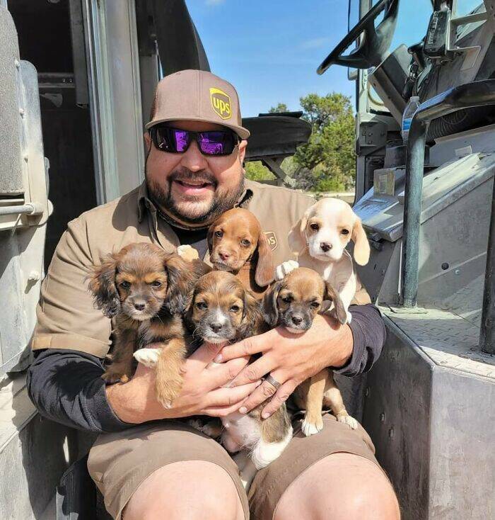 UPS Drivers Meet The Cutest Dogs