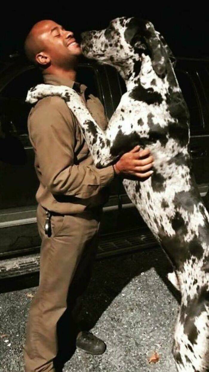 UPS Drivers Meet The Cutest Dogs