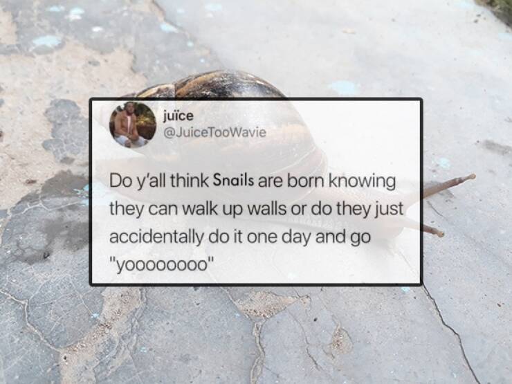 This Weeks Funniest Tweets You Cant Miss