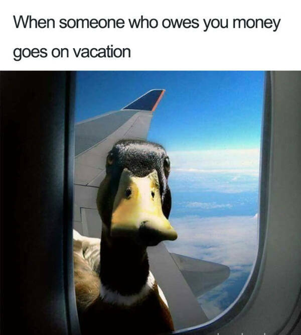 Memes Every Traveler Will Love
