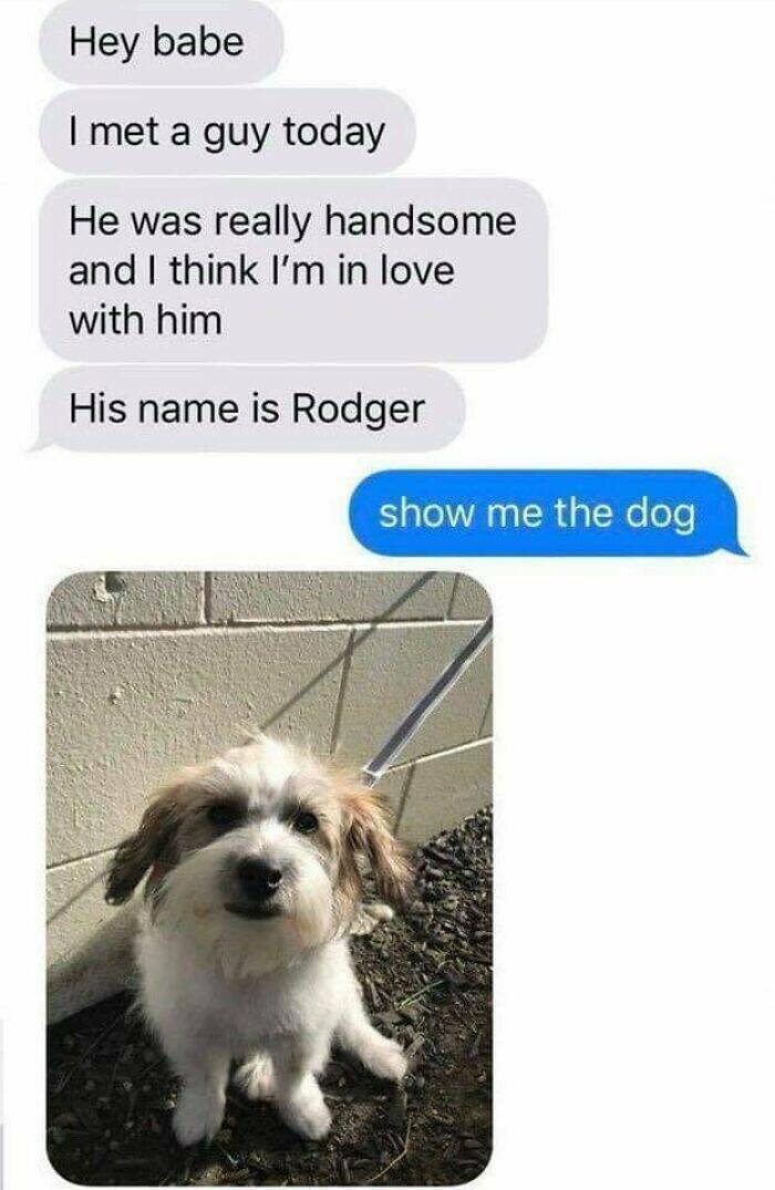 Feel-Good Dog Memes To Brighten Your Day