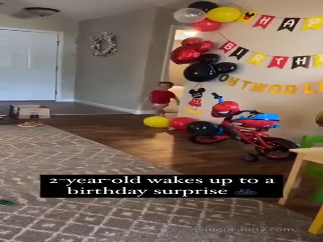 Childs Reaction To A Present On 2nd Birthday