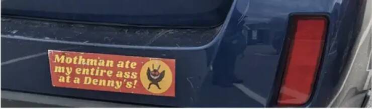 Laugh-Out-Loud Bumper Stickers For A Joyful Ride
