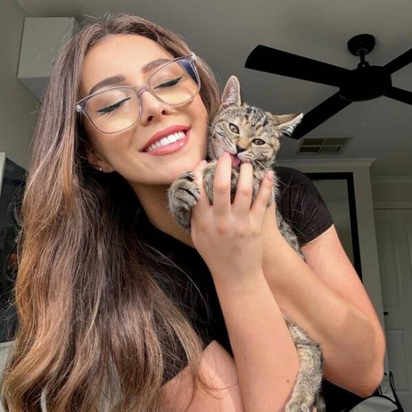 Adorable Cat Pics And Memes To Brighten Your Day