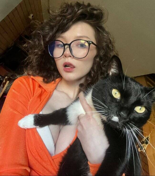 Adorable Cat Pics And Memes To Brighten Your Day