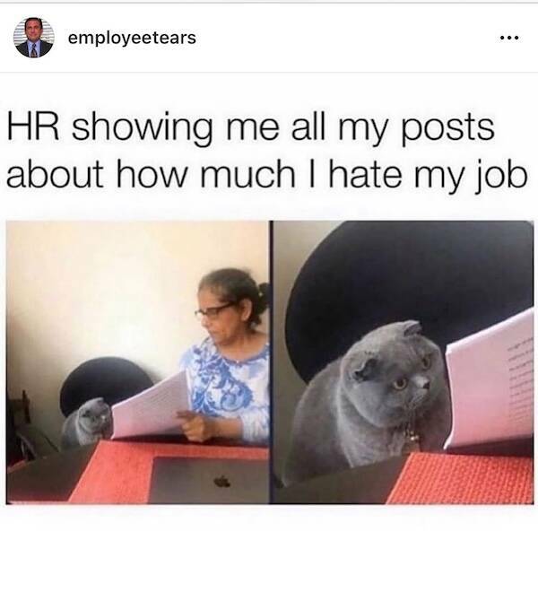 Hilarious Work Memes To Get You Through The Week Hilarious Work Memes To Get You Through The Week