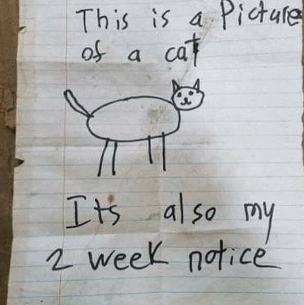 Hilarious Work Memes To Get You Through The Week Hilarious Work Memes To Get You Through The Week