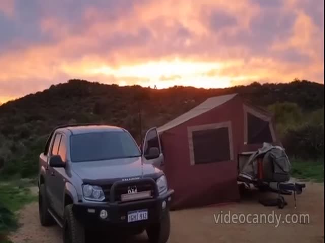 A Tourist Was Filming A Beautiful Sunset, But Filmed A Kangaroo Fight
