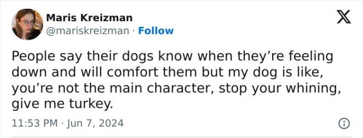 Cat And Dog Tweets Guaranteed To Lift Your Spirits