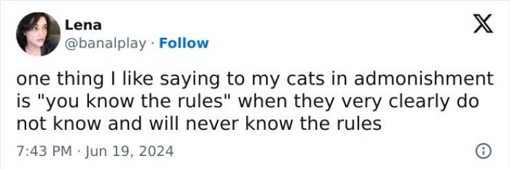 Cat And Dog Tweets Guaranteed To Lift Your Spirits