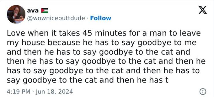 Cat And Dog Tweets Guaranteed To Lift Your Spirits