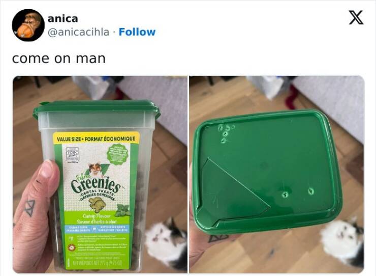 Cat And Dog Tweets Guaranteed To Lift Your Spirits