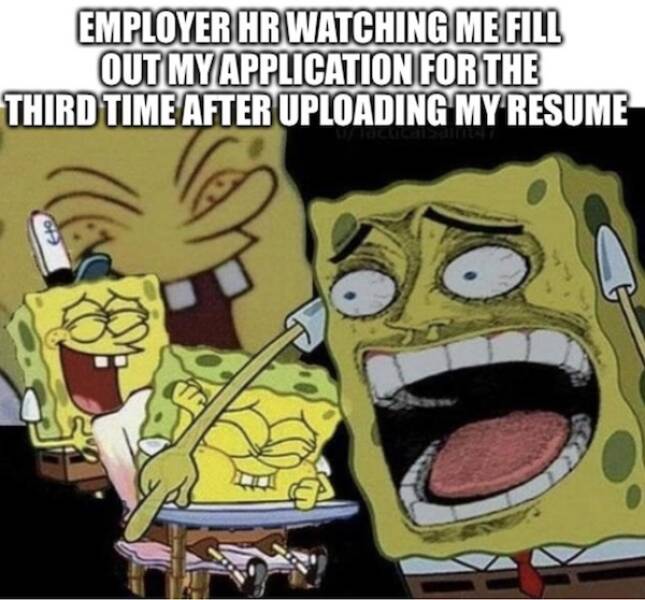 Relatable Job Hunting Memes To Keep You Smiling