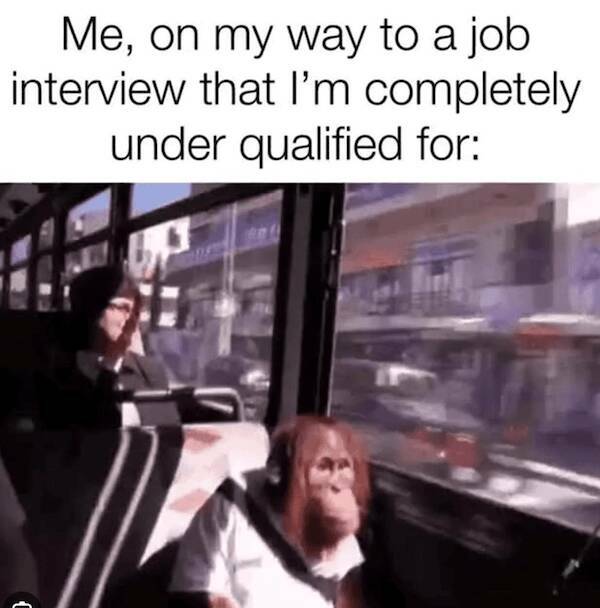Relatable Job Hunting Memes To Keep You Smiling Relatable Job Hunting Memes To Keep You Smiling