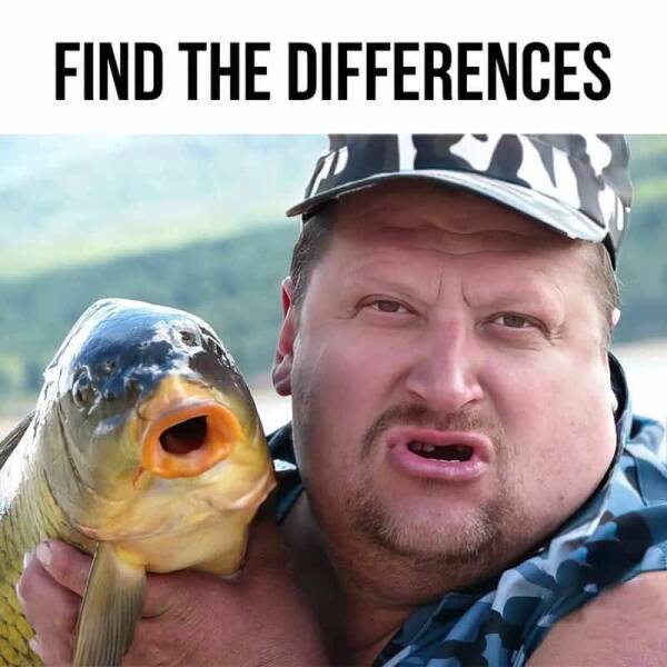 Reel Funny Fishing Memes