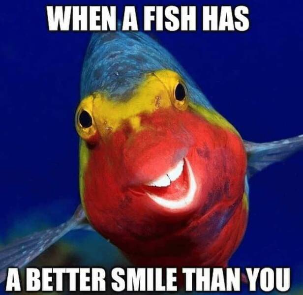 Reel Funny Fishing Memes