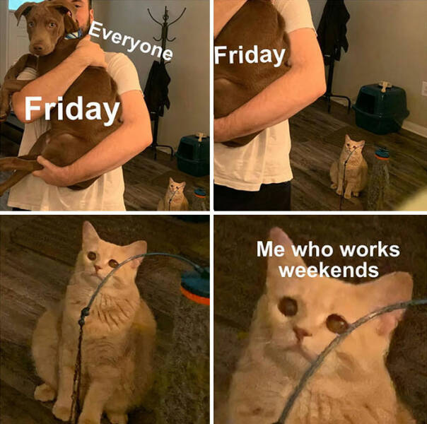 Friday Meme Edition