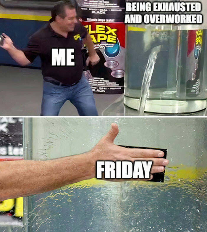 Friday Meme Edition