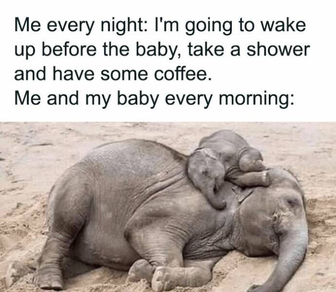 Parenthood Memes Every New Mom And Dad Will Love