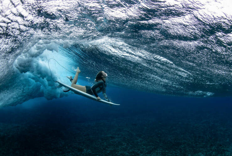 Award-Winning Sports Photography Of The Year