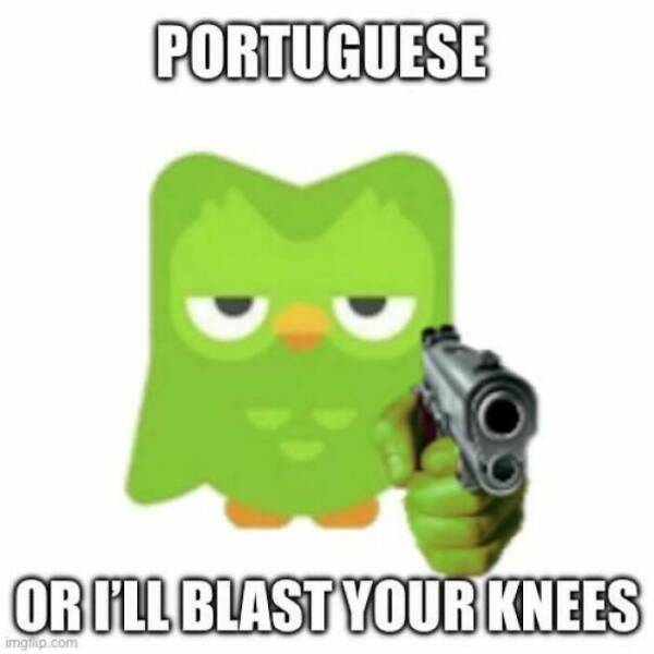 Learning With Laughter: Threatening Duolingo Memes