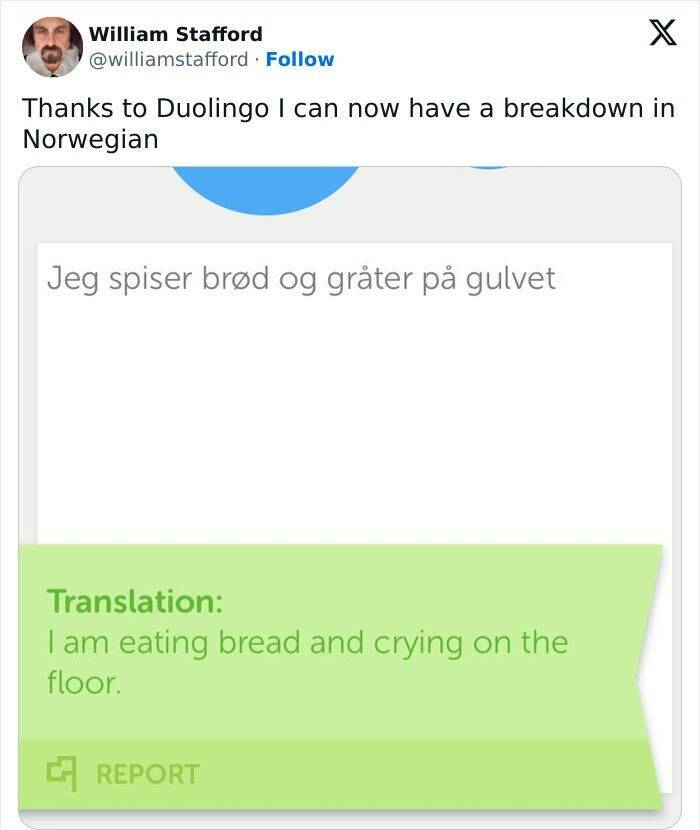 Learning With Laughter: Threatening Duolingo Memes