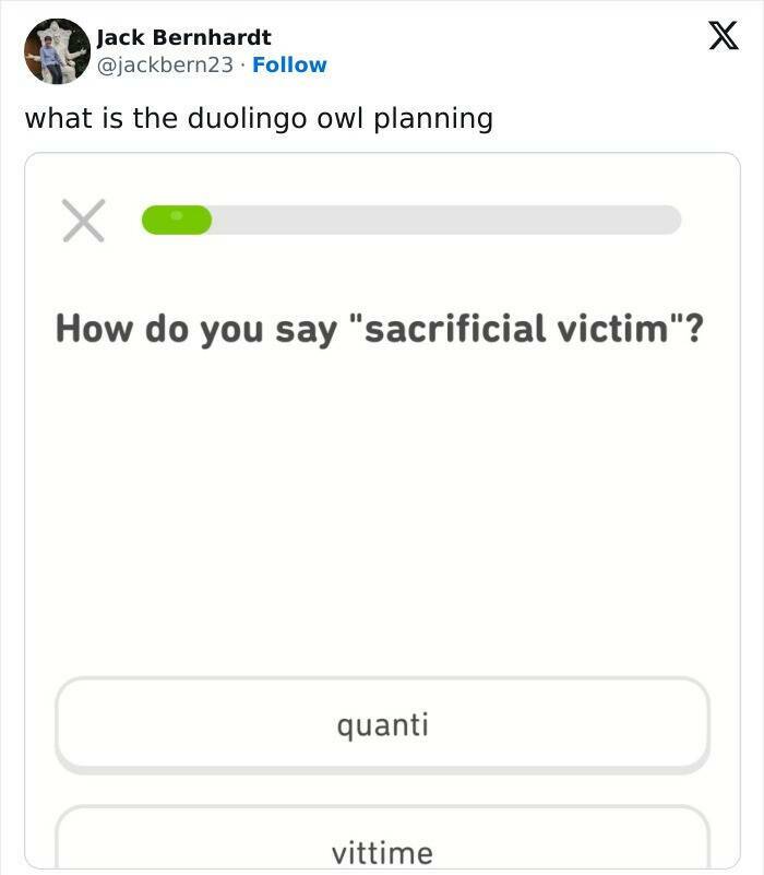 Learning With Laughter: Threatening Duolingo Memes