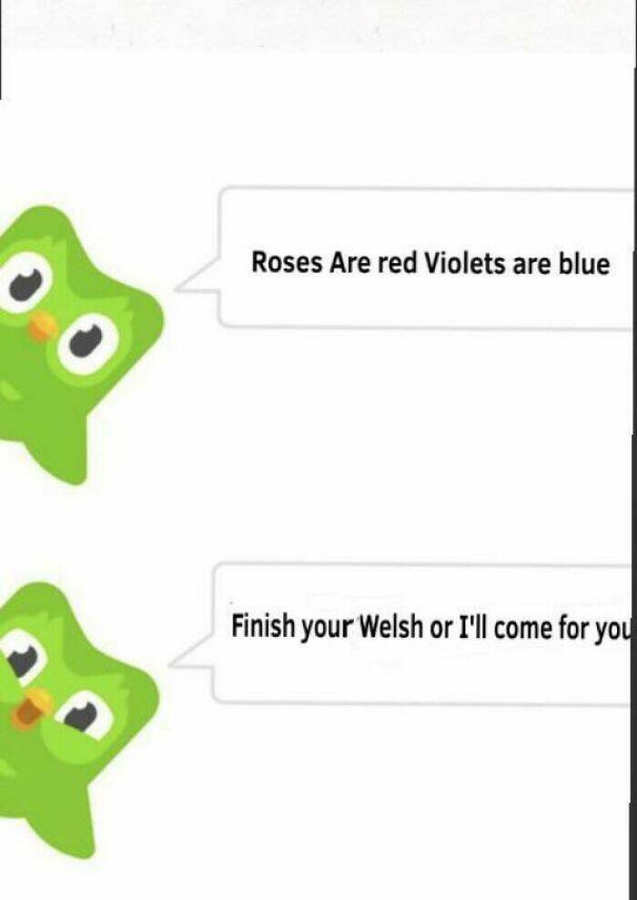 Learning With Laughter: Threatening Duolingo Memes