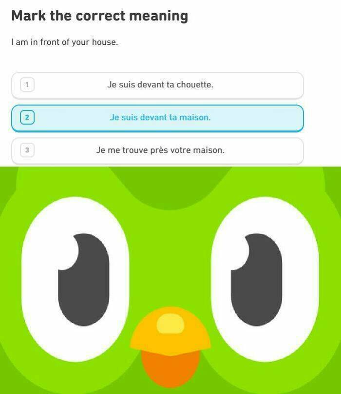 Learning With Laughter: Threatening Duolingo Memes