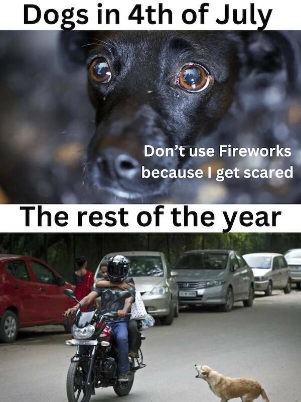 Memes To Enjoy Fireworks Without Losing Fingers