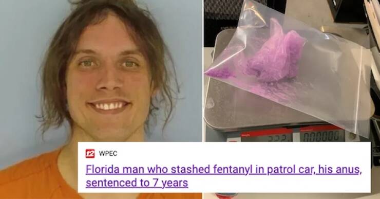 Unbelievable Florida Man Stories That Will Shock You