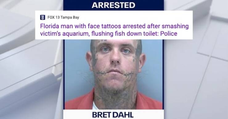 Unbelievable Florida Man Stories That Will Shock You