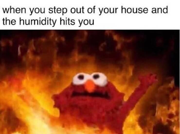 Blazing Hot Memes To Survive The Summer