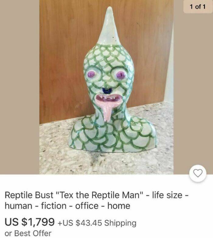 The Most Questionable eBay Listings