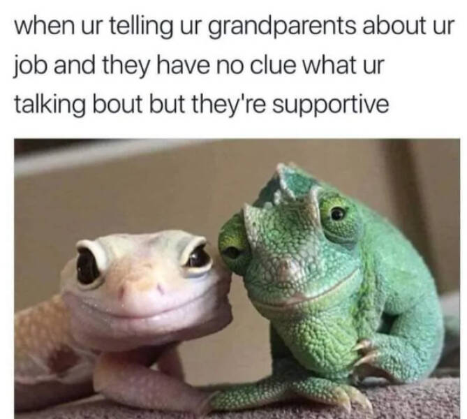 Wholesome Memes To Brighten Your Day