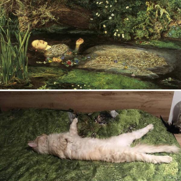 Renaissance Cats