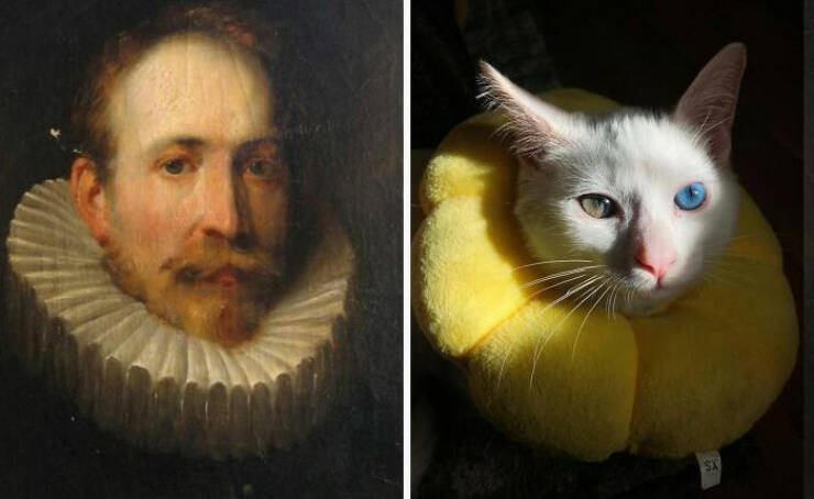 Renaissance Cats