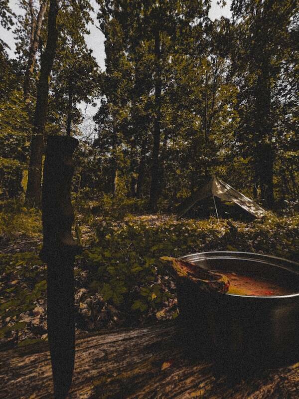 Inspiring Bushcraft Photos For Outdoor Enthusiasts