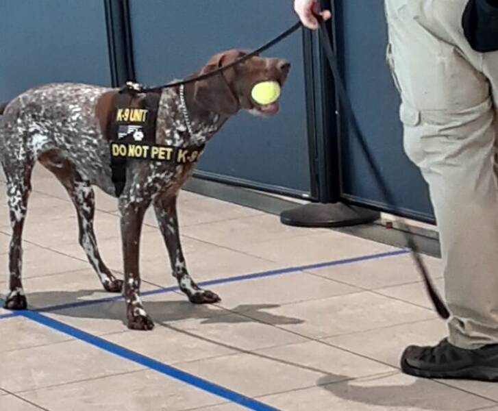 Lawless Airports: Strange Photos That Break All Norms